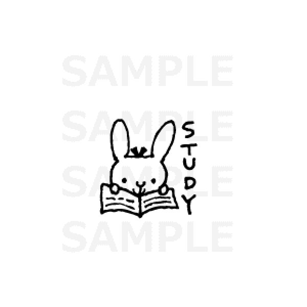 画像1: study*うさぎ (1)